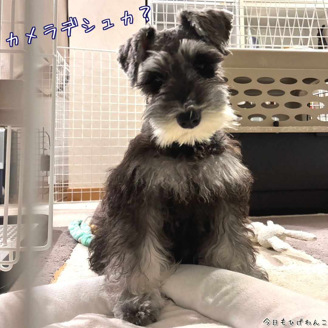 隠し撮りに気づいたところ