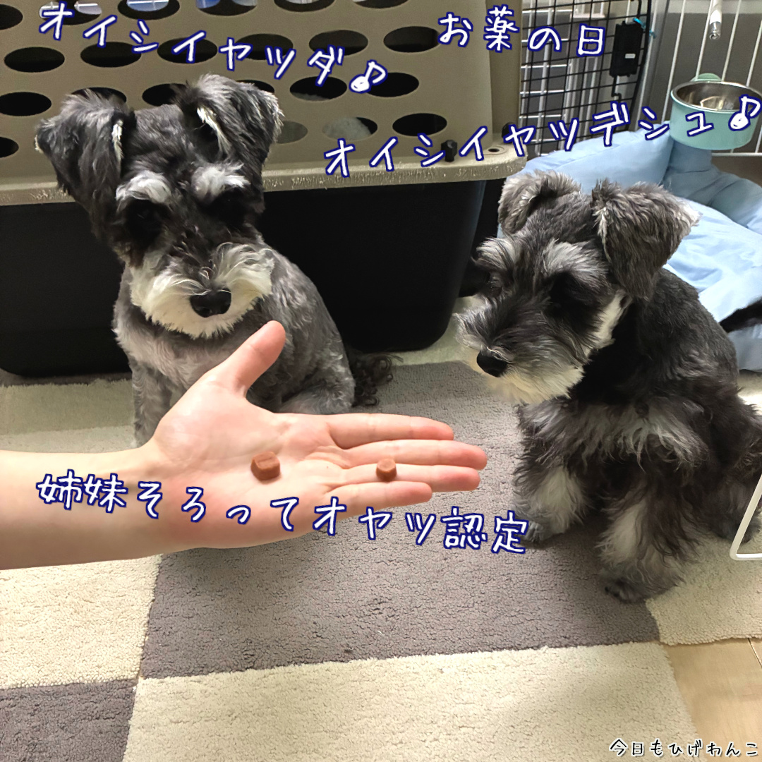 オイシイヤツ～♪