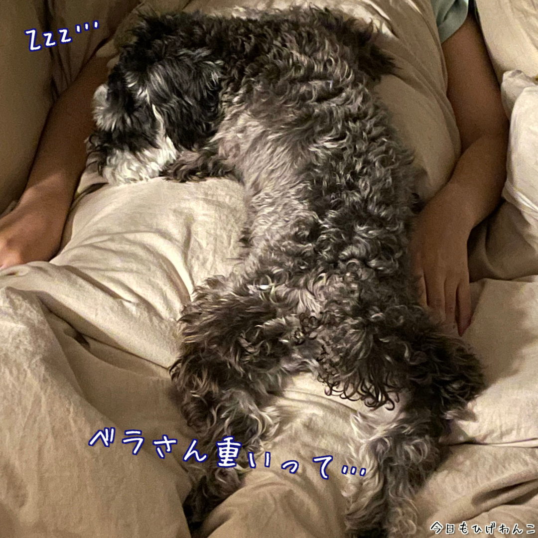 重いって・・・