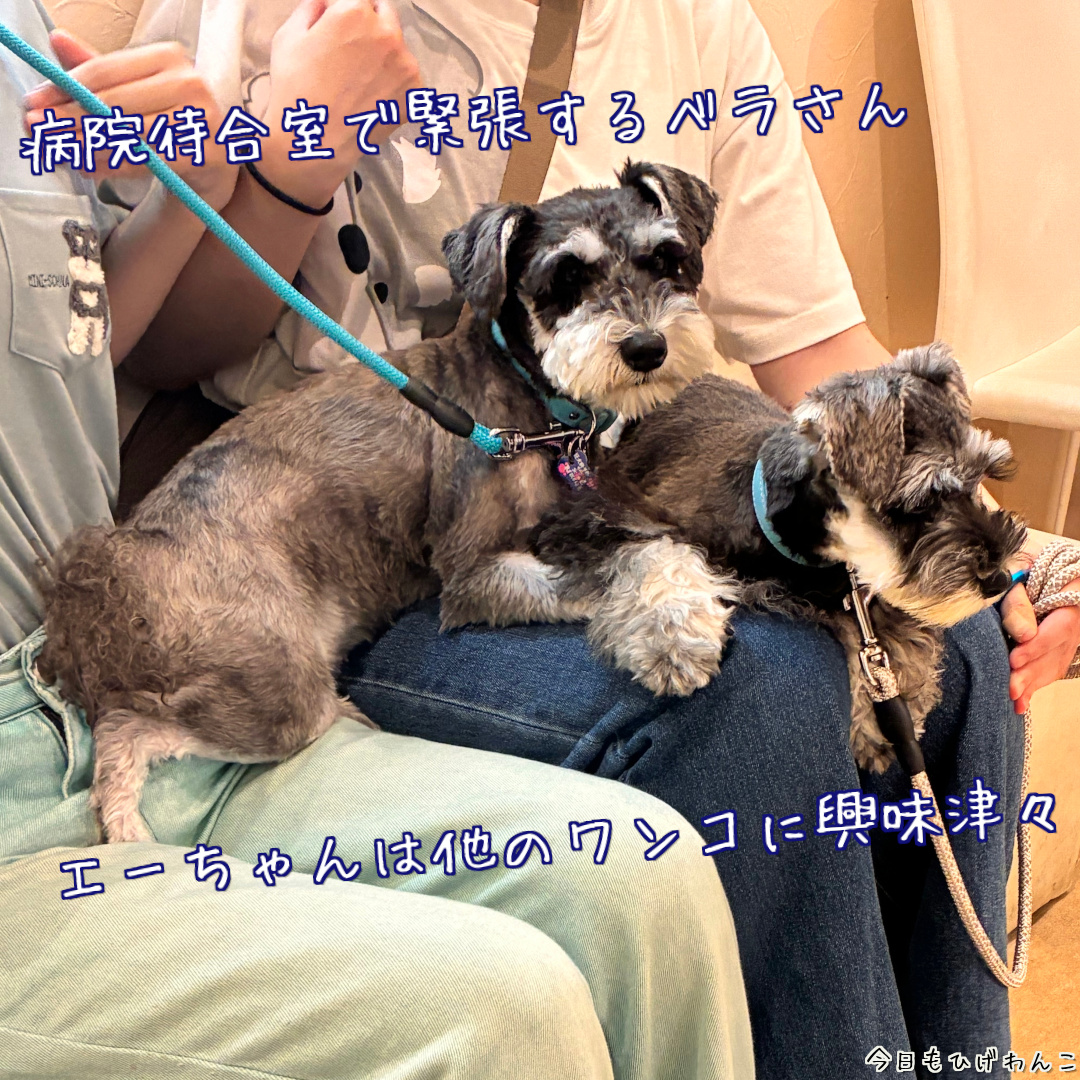 病院待合室で緊張中