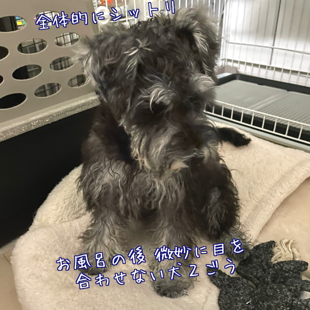 お風呂の後は目を合わせない