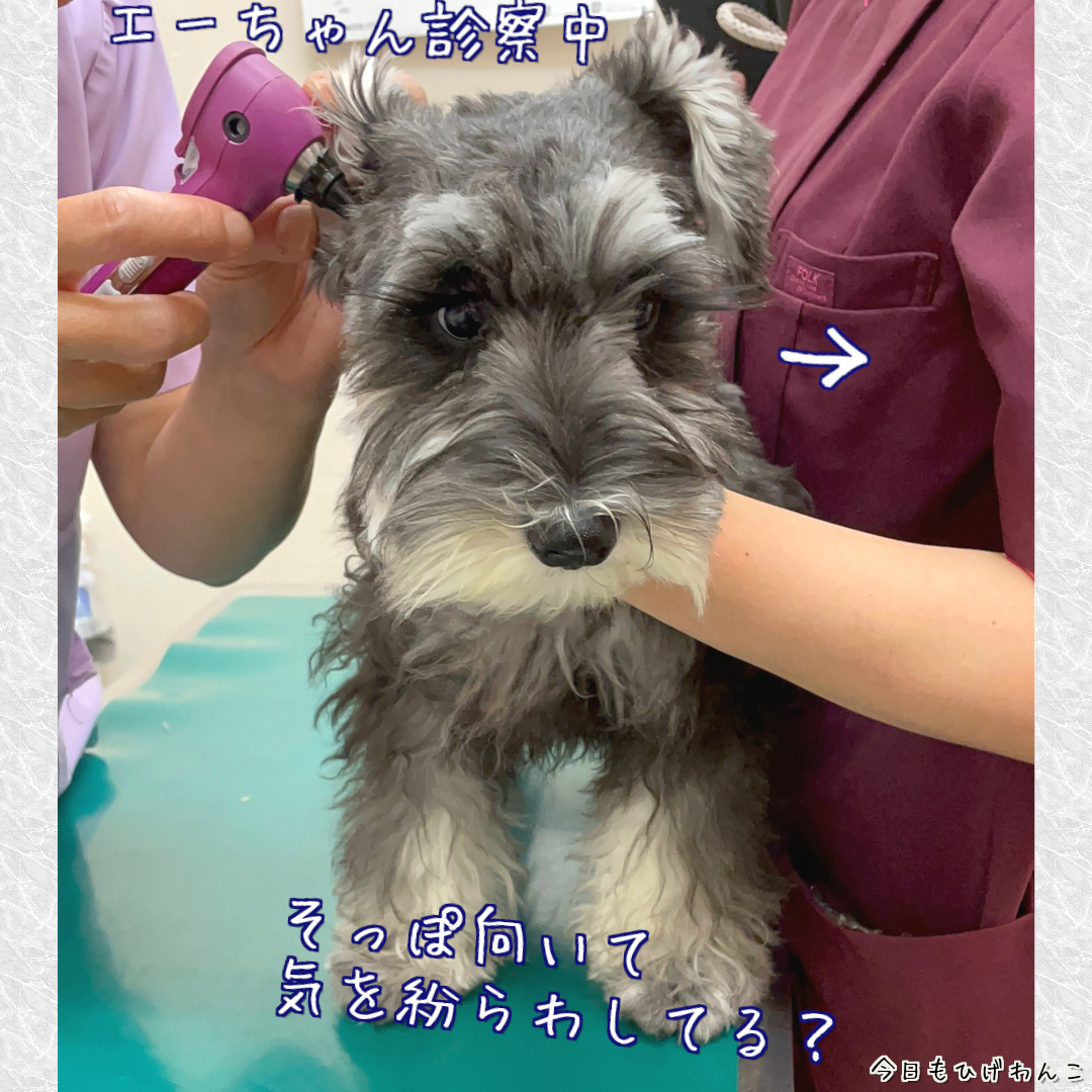 診察中に横をチラ見