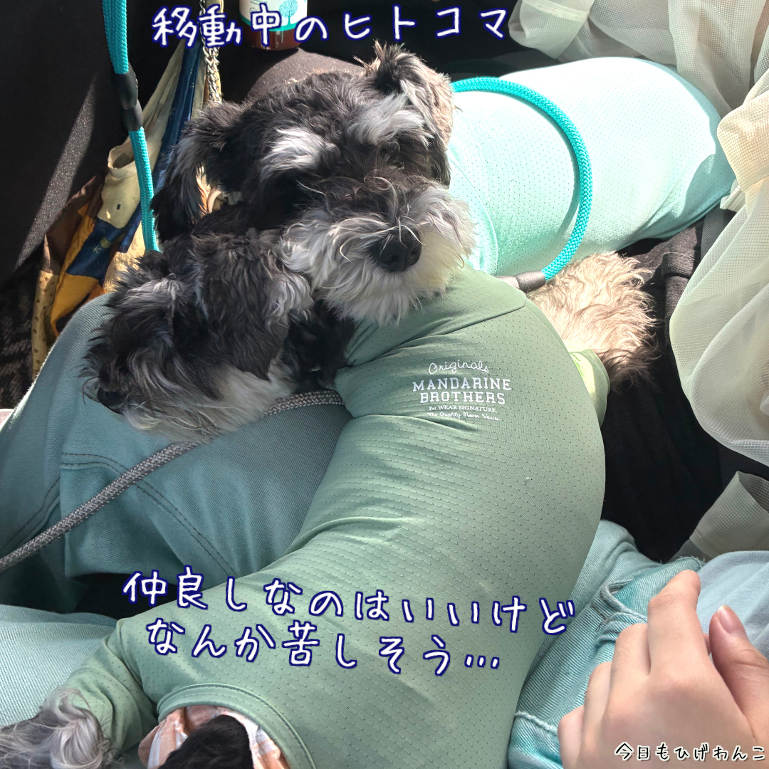 移動中も仲良し