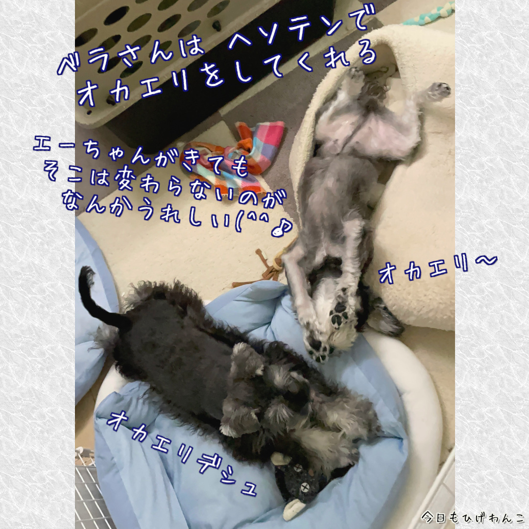 オカエリのヘソテン