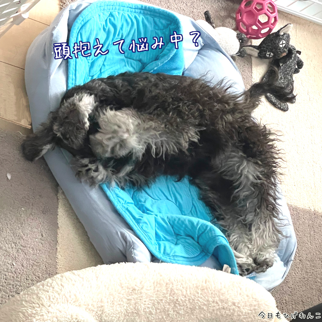 頭抱えて悩み中