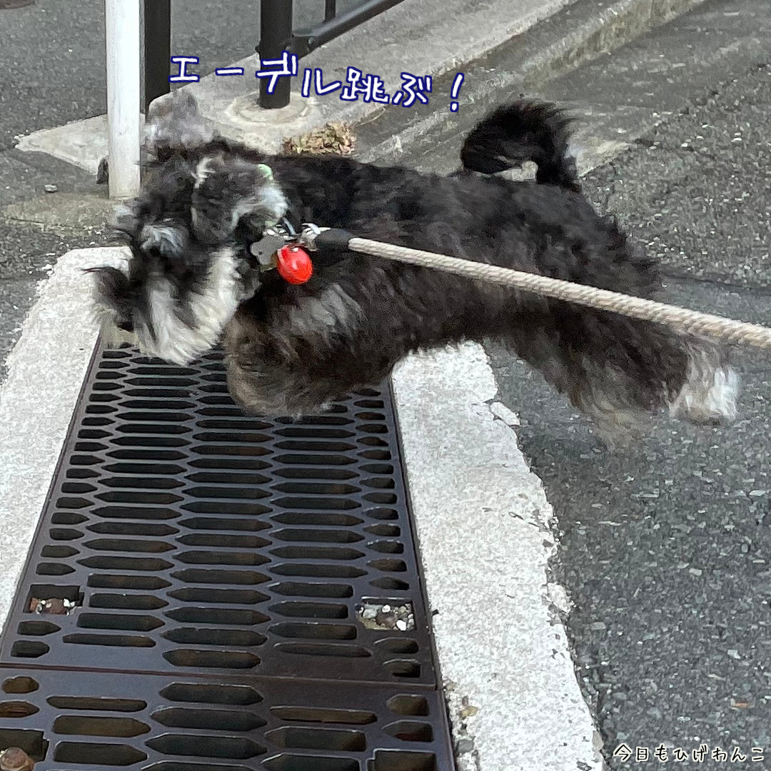 エーちゃんジャーンプ！！