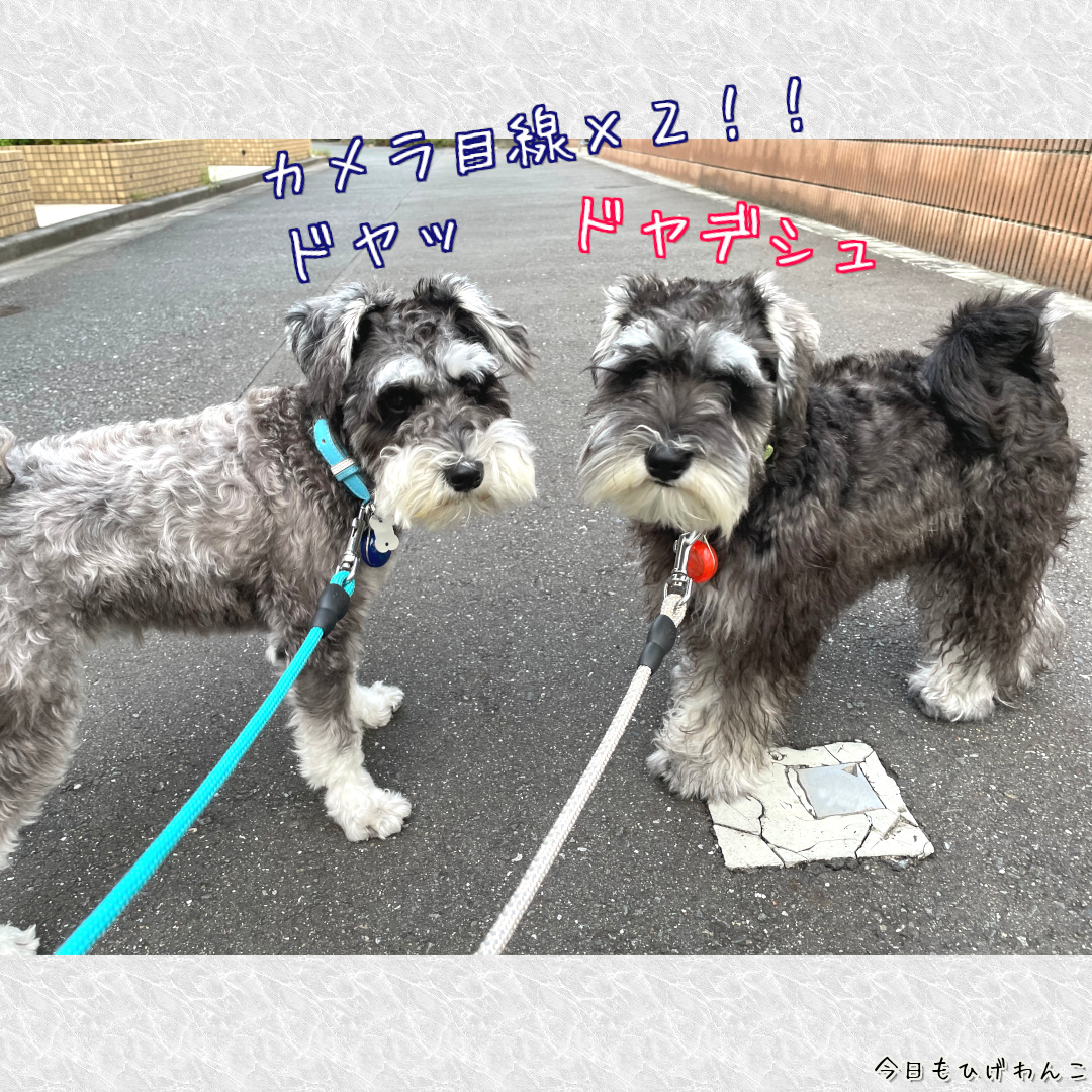 カメラ目線×２！！