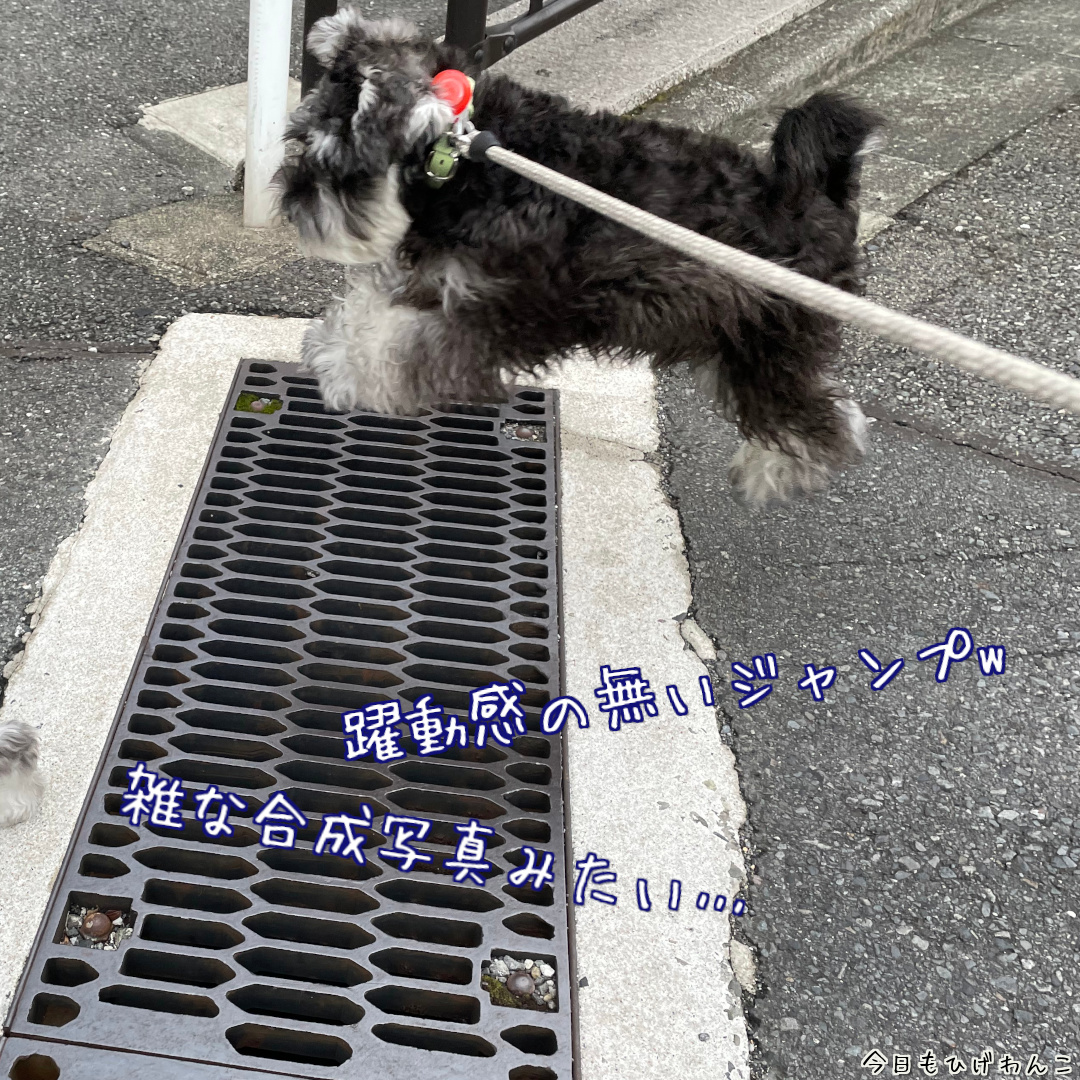 躍動感のないジャンプ