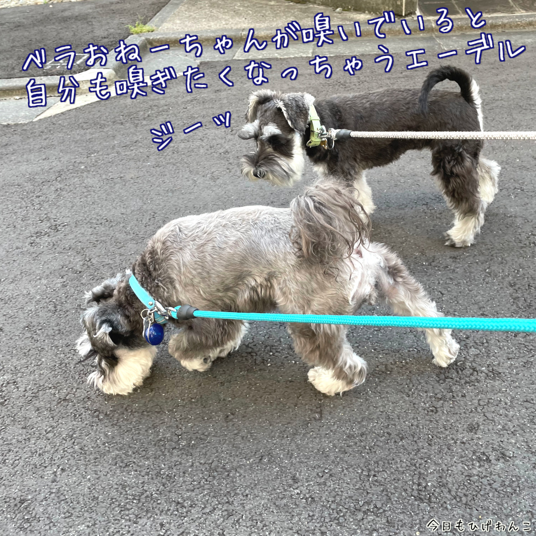 気になる気になる