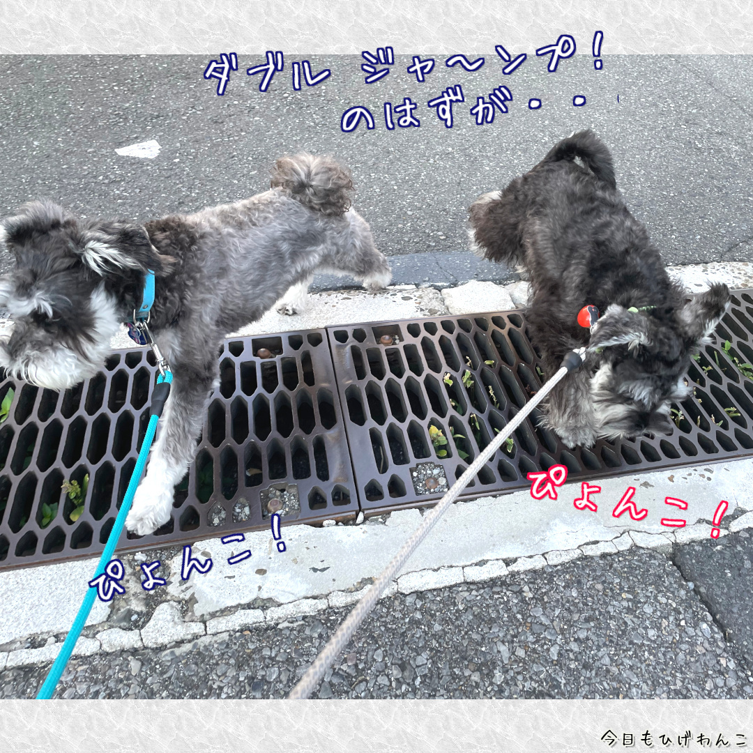 ダブルジャ～ンプ！！