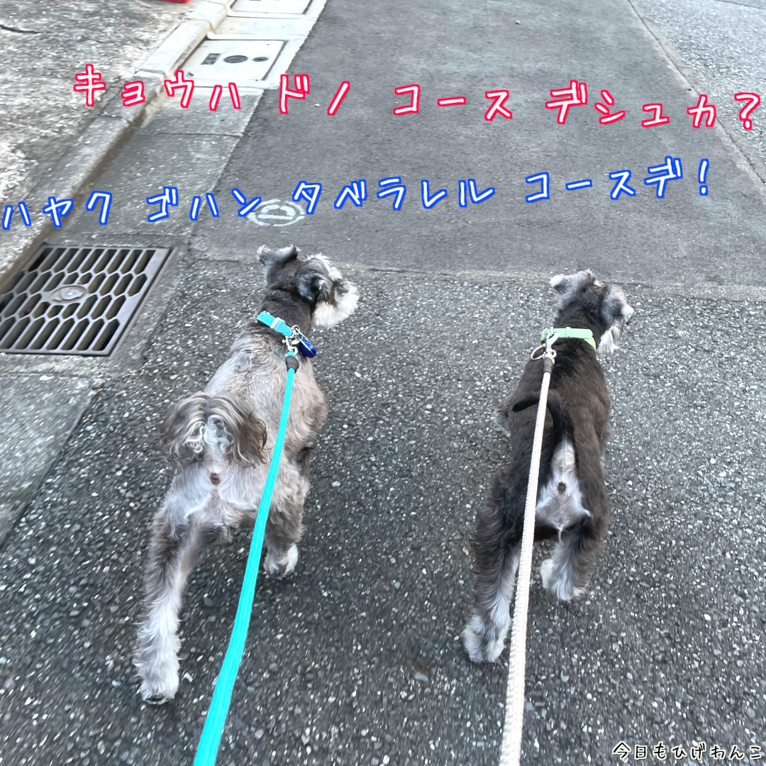 アサンポスタート