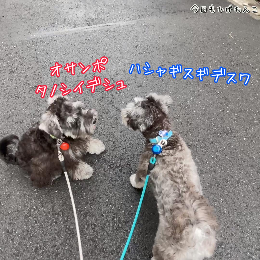 オサンポではしゃぎ過ぎ！