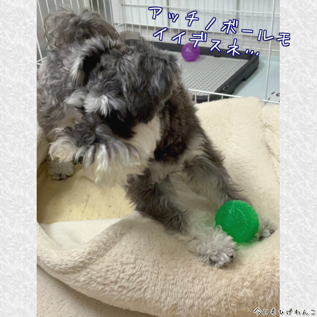 隣のボールは青い？