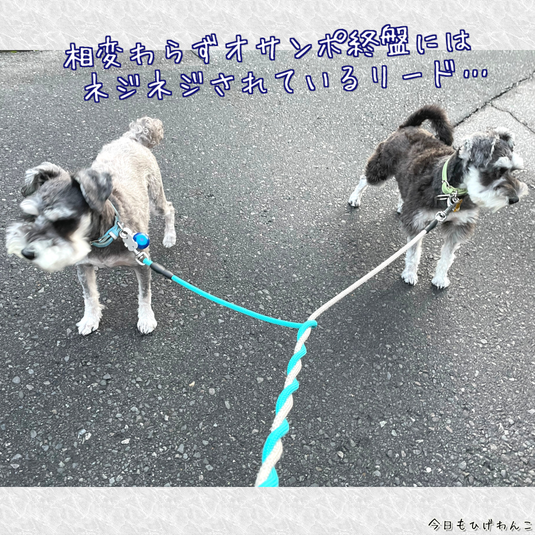 相変わらずネジネジ