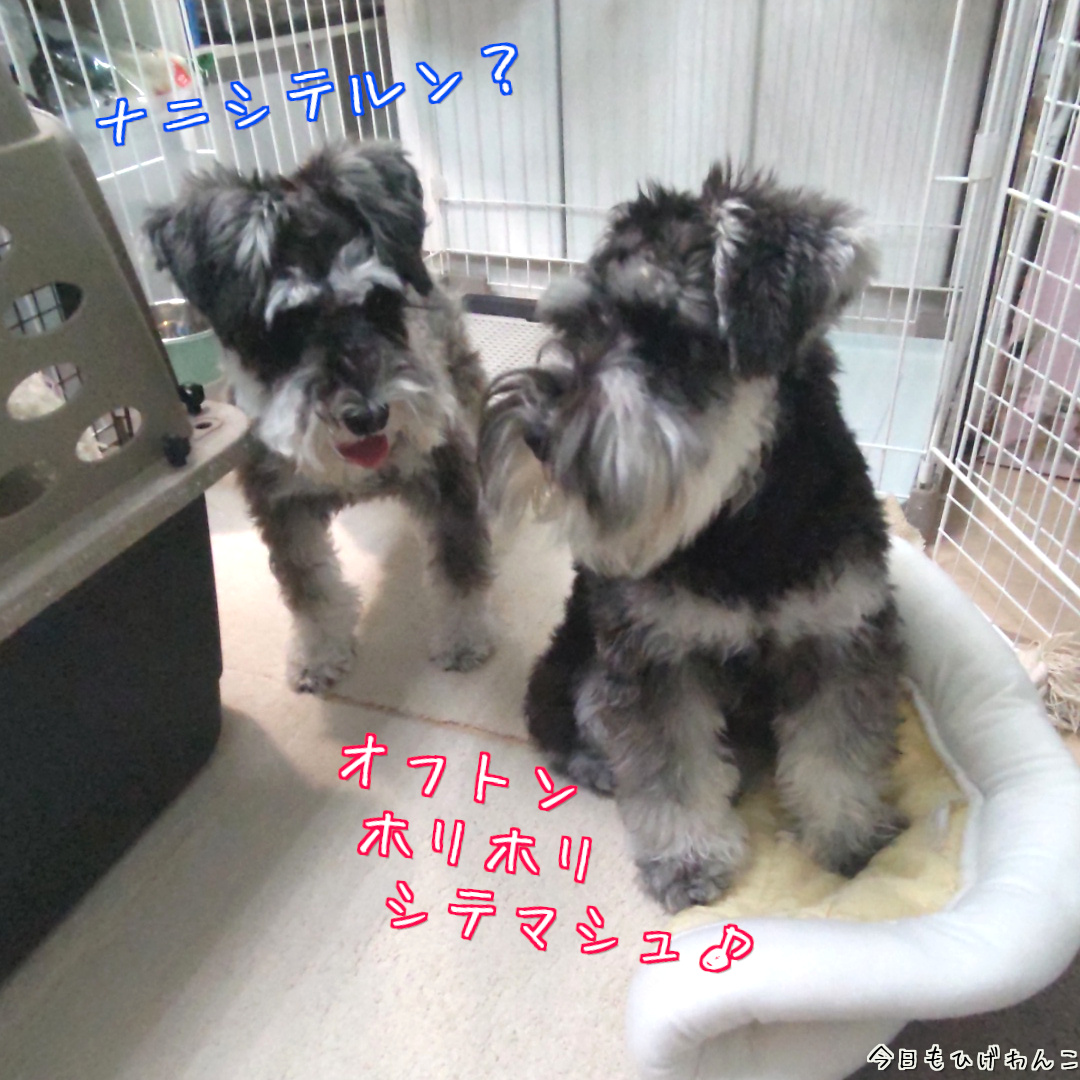 ナニシテルン？