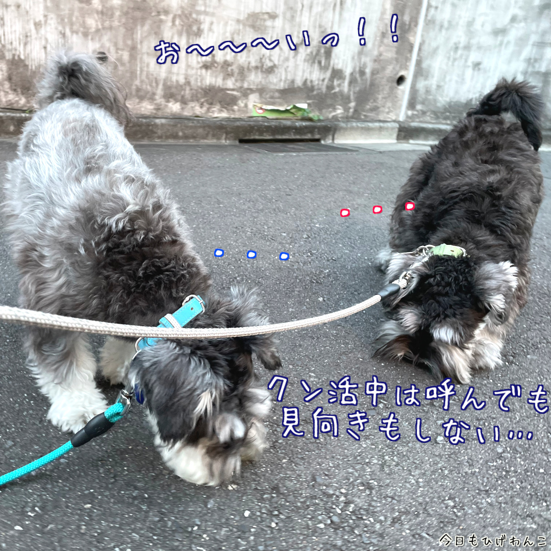 クン活中は見向きもしない