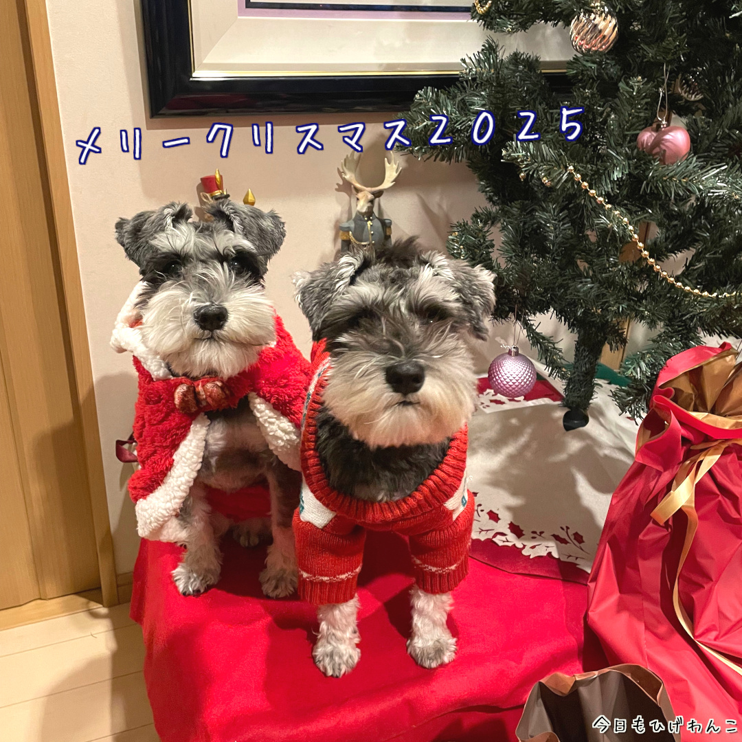 メリークリスマス２０２５