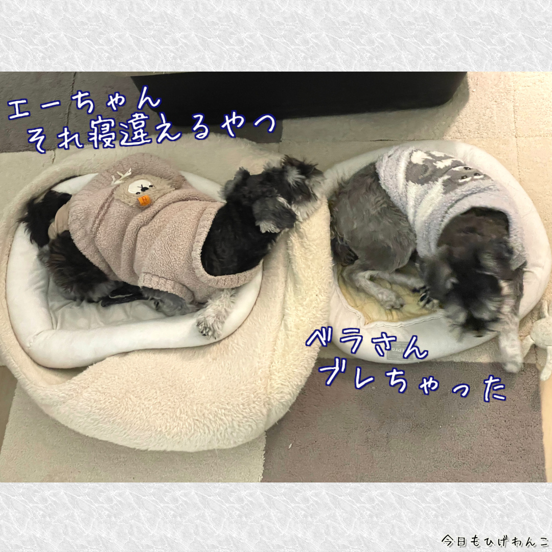 寝違えそう・・・