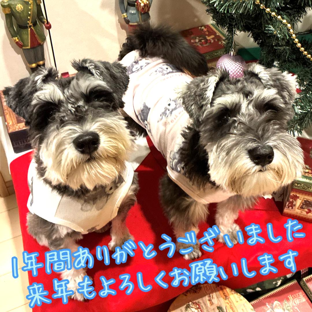 一年ありがとうございました