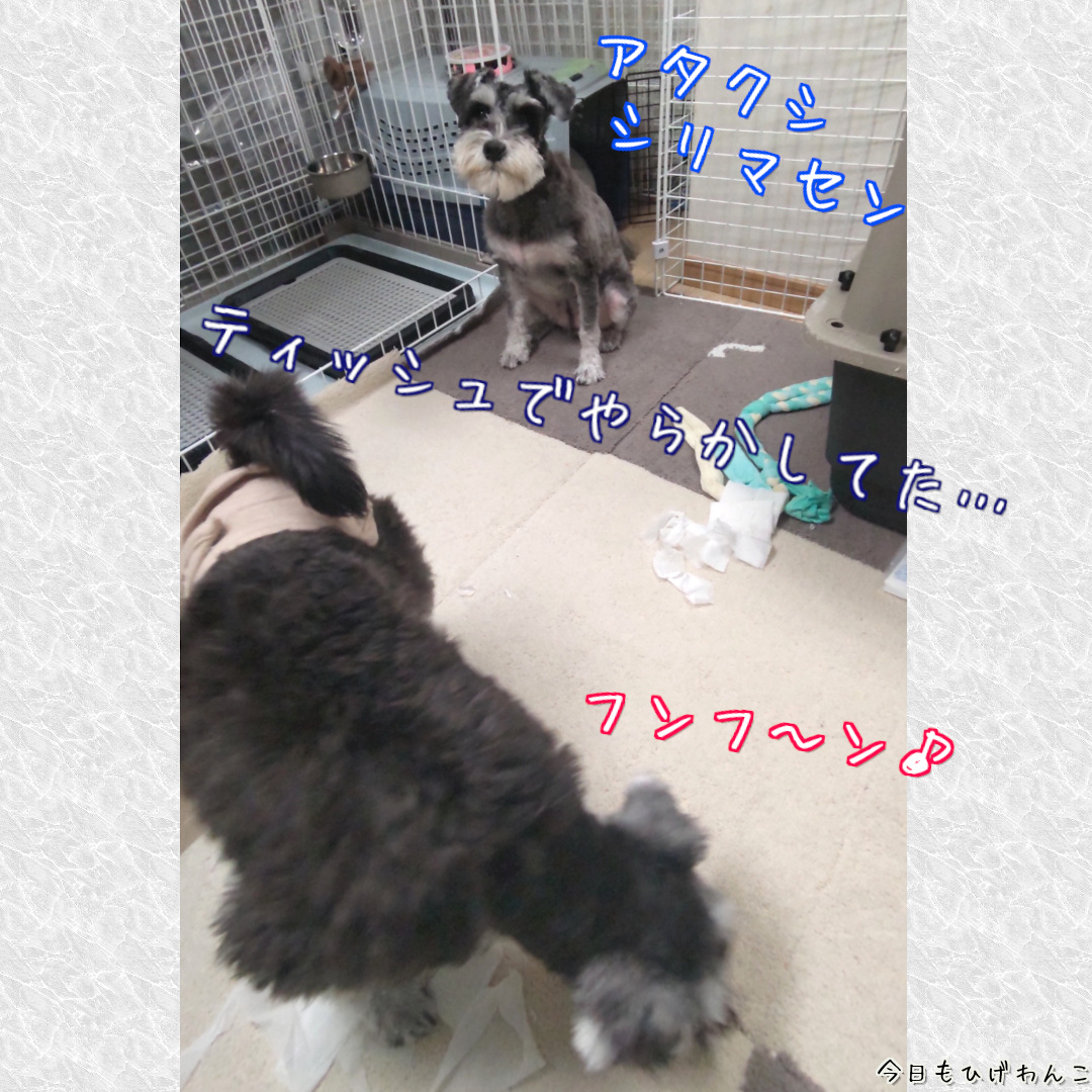 やらかしたっ！