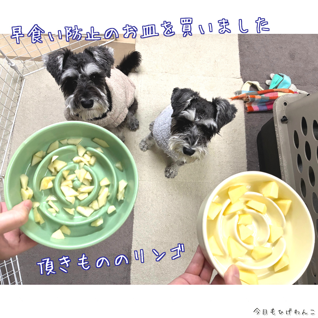 早食い防止のお皿