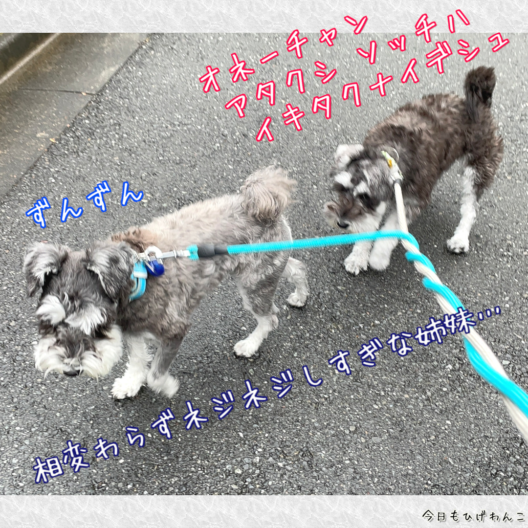 そっちには行きたくない