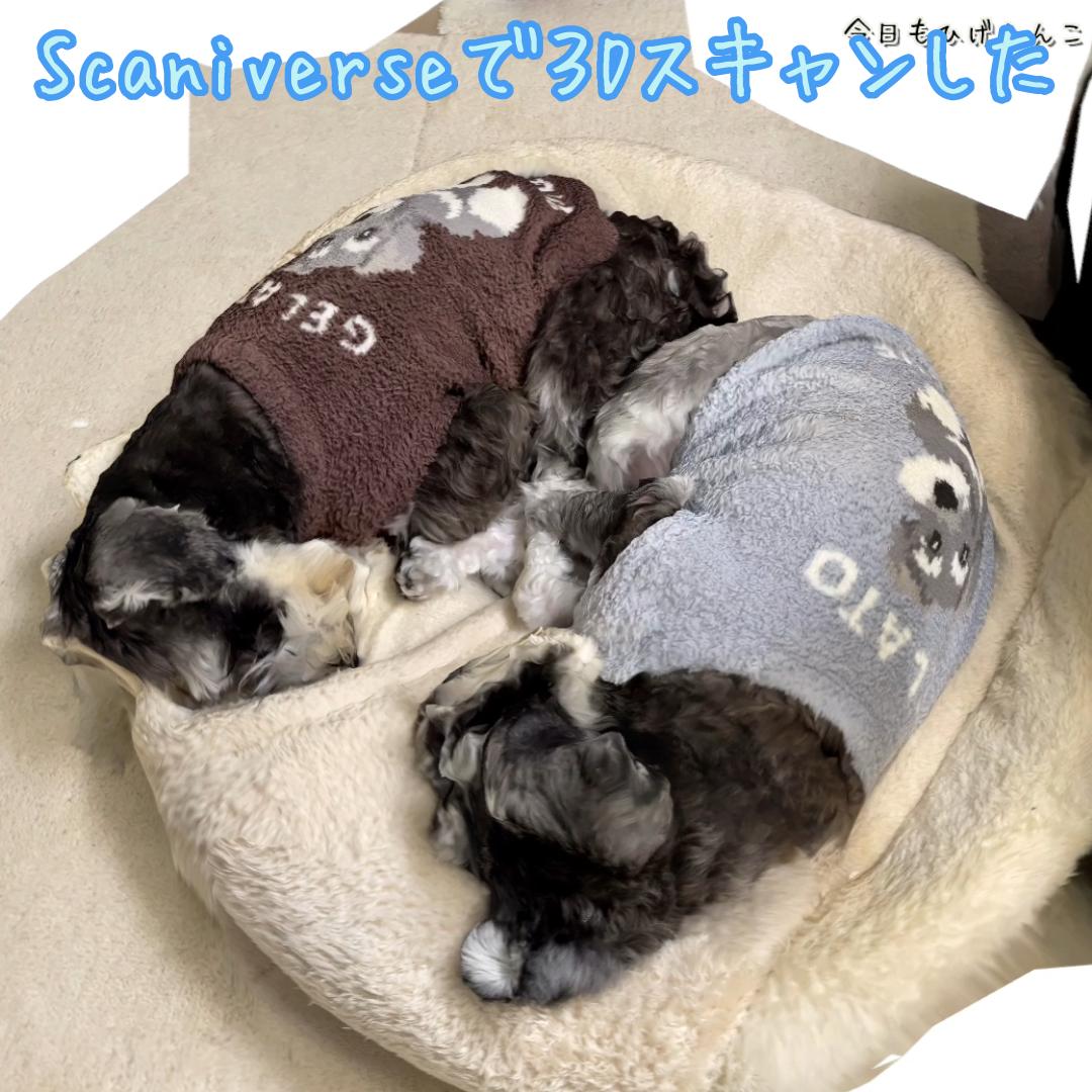 3Dスキャンしてみた