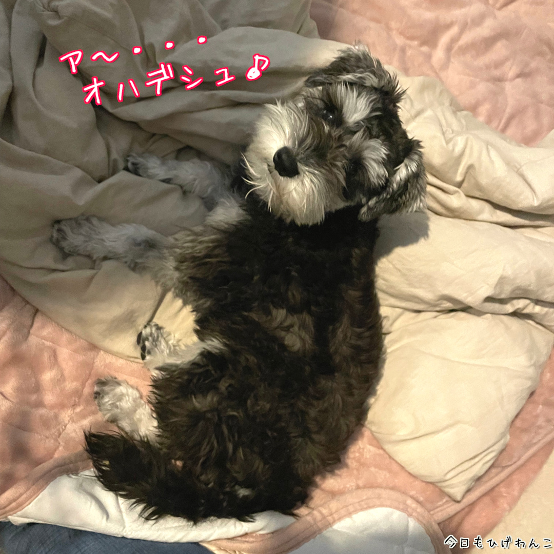 あー、オハデシュ