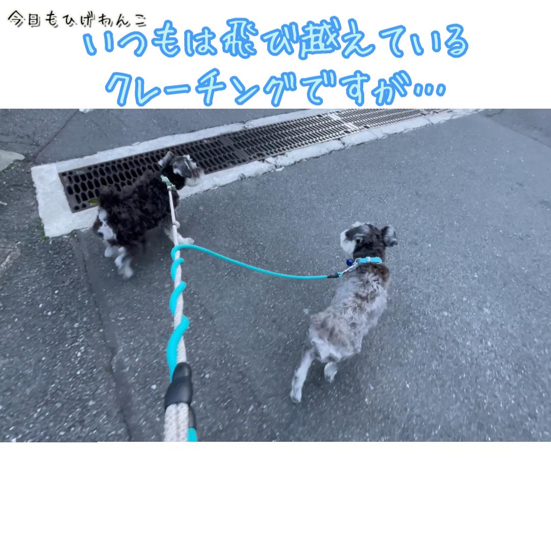 いつもは飛び越えているクレーチング・・・