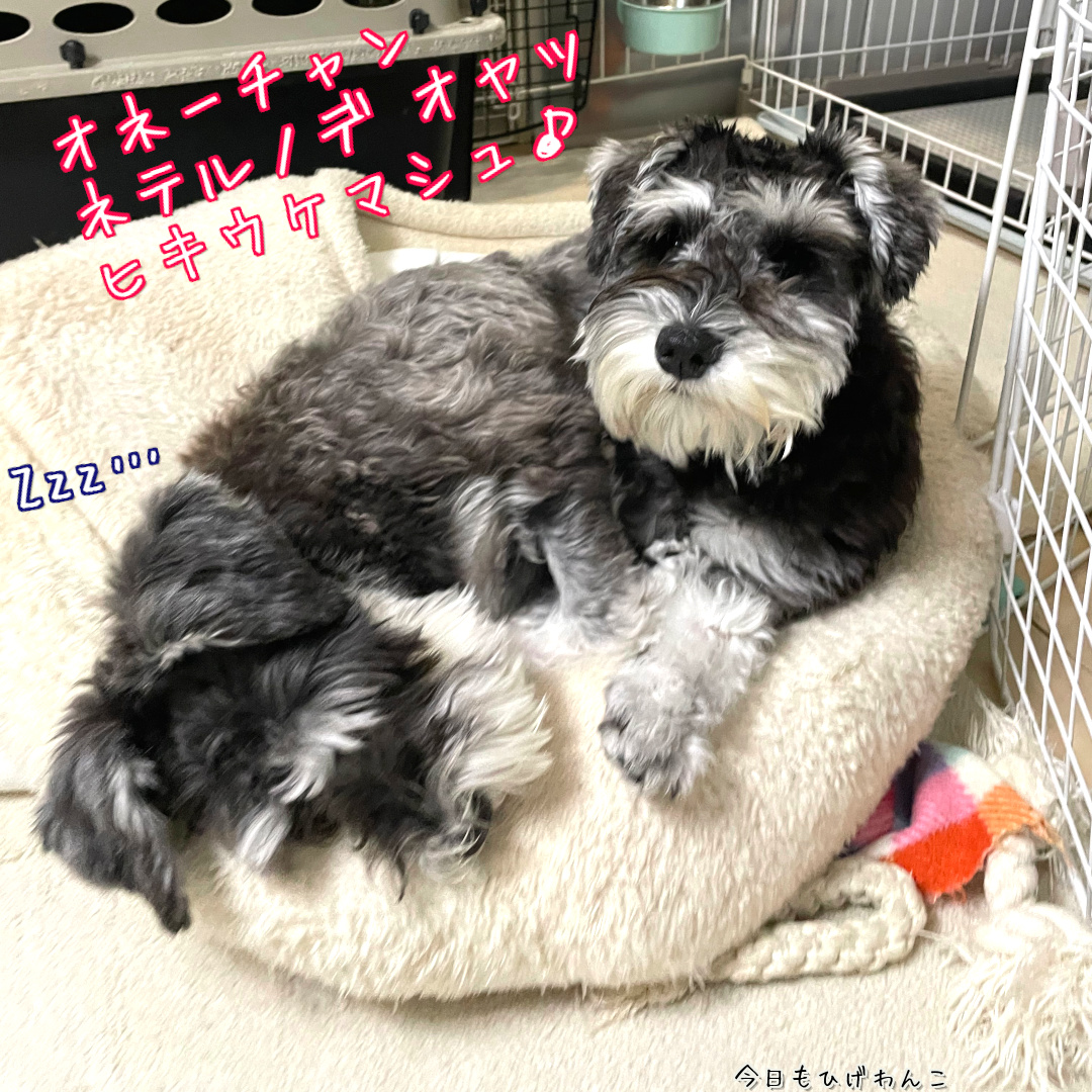 オヤツブローカー