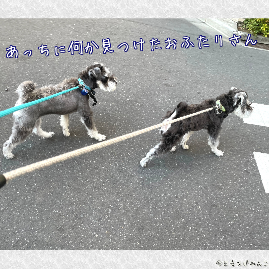 何か見つけた？