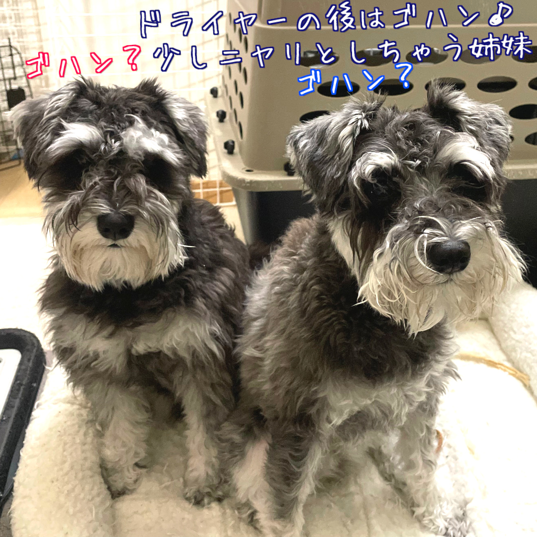 ニヤリとしちゃう