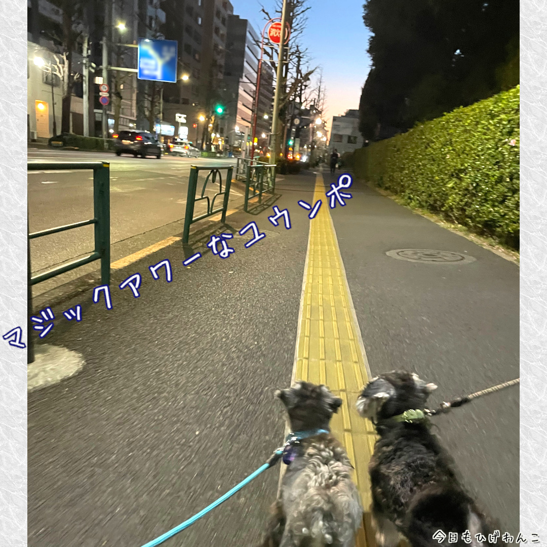 マジックアワーなユウンポ