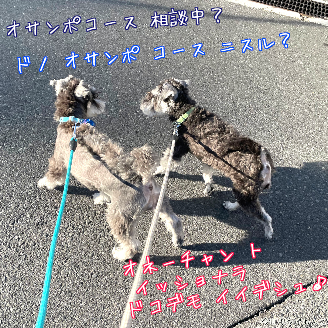 オサンポコース相談中？