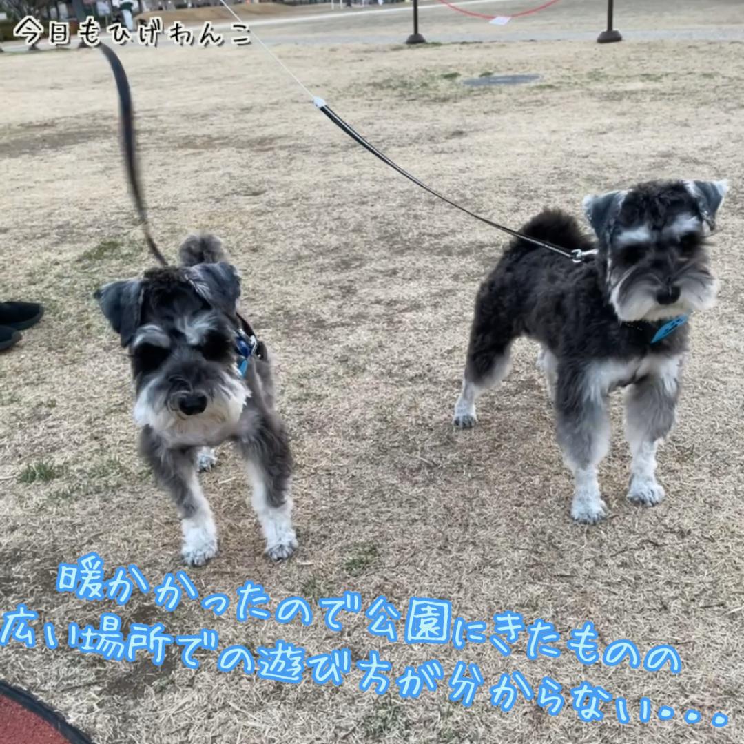 広い場所に戸惑う