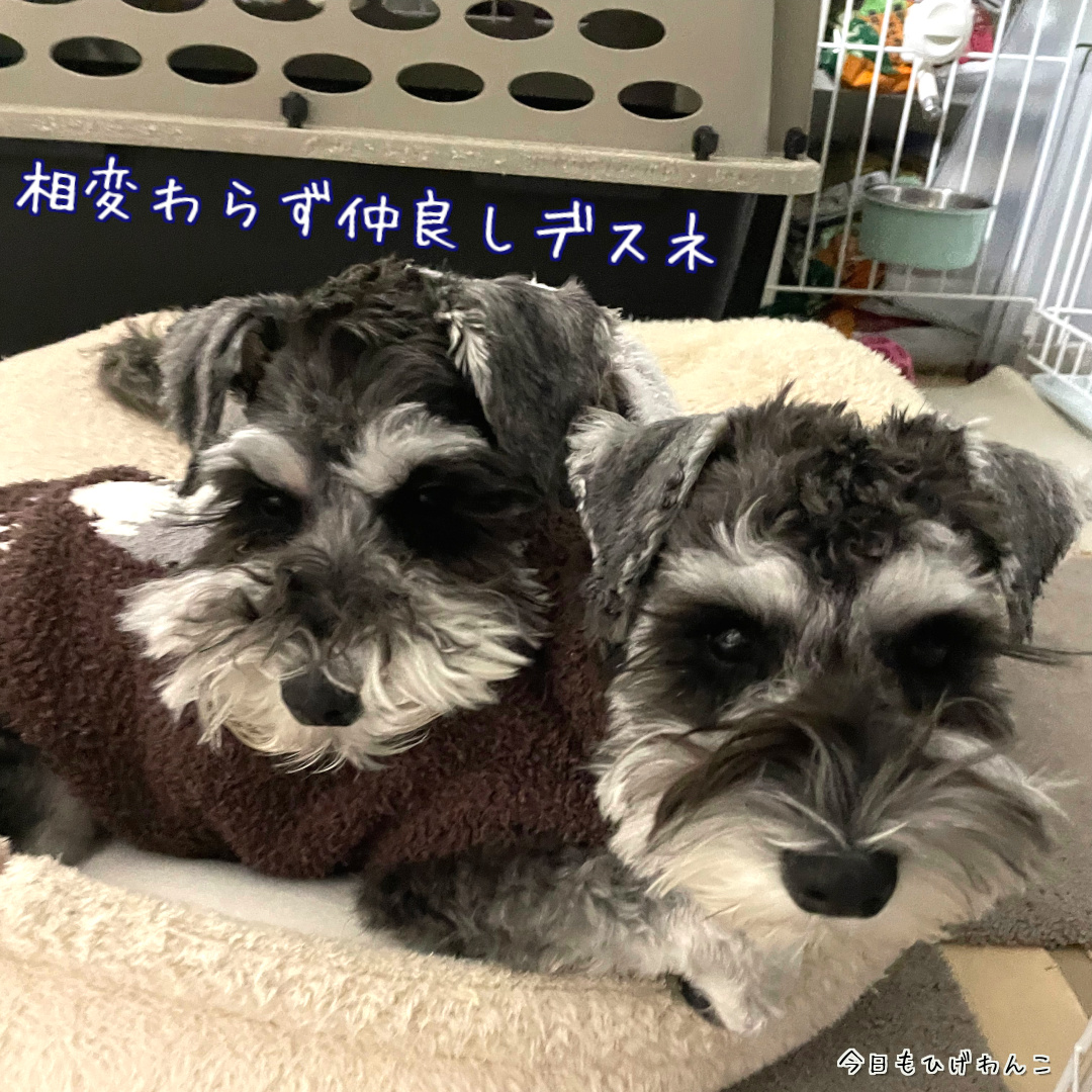 相変わらず仲良しです