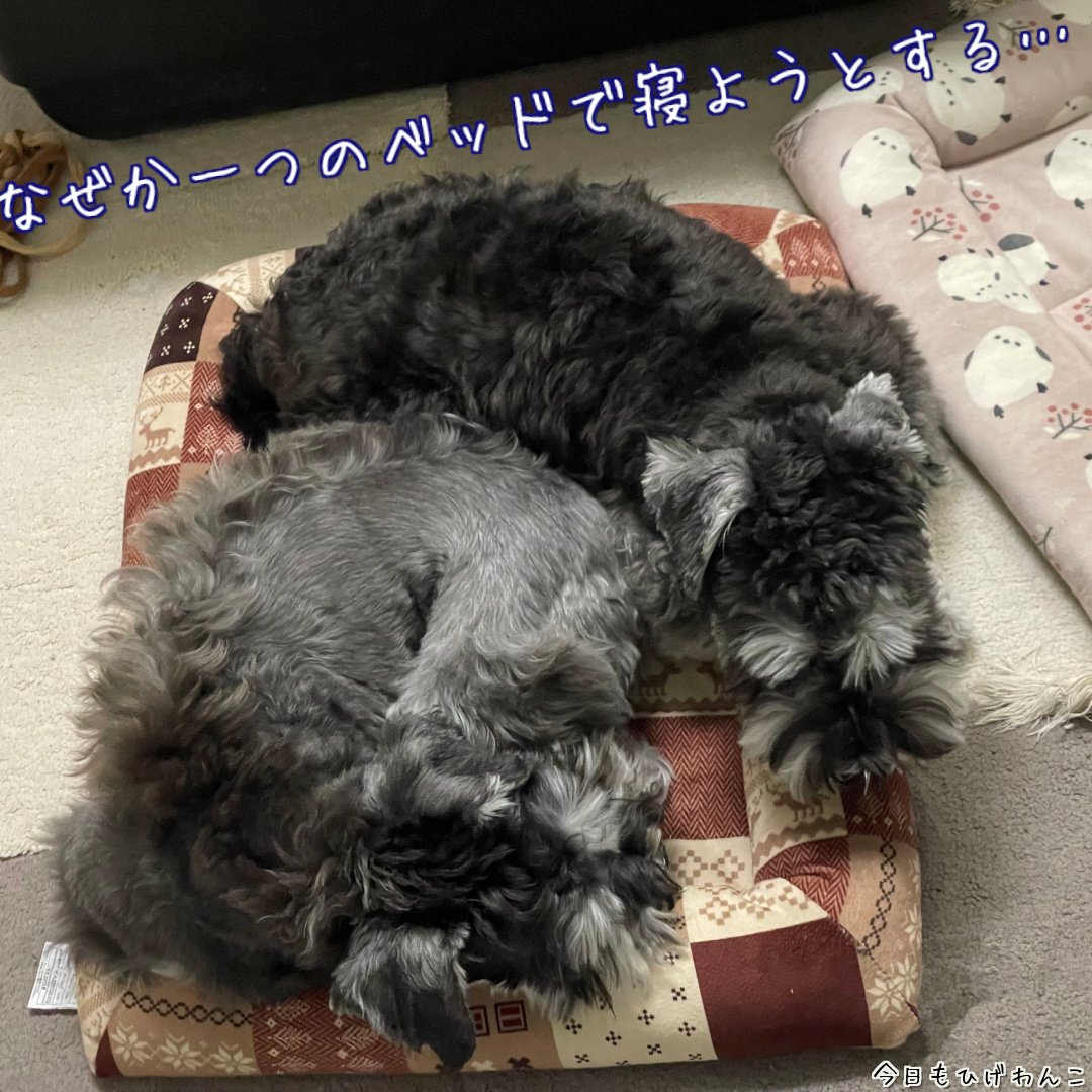 なんで二つ使わない？