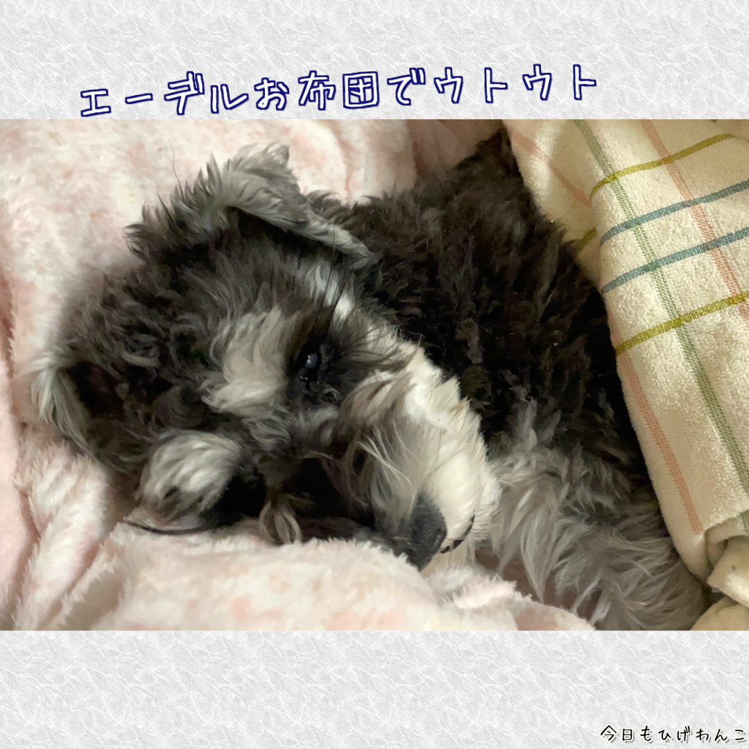 うとうと・・・