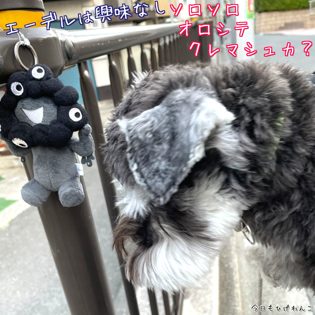 黒ミャクミャク