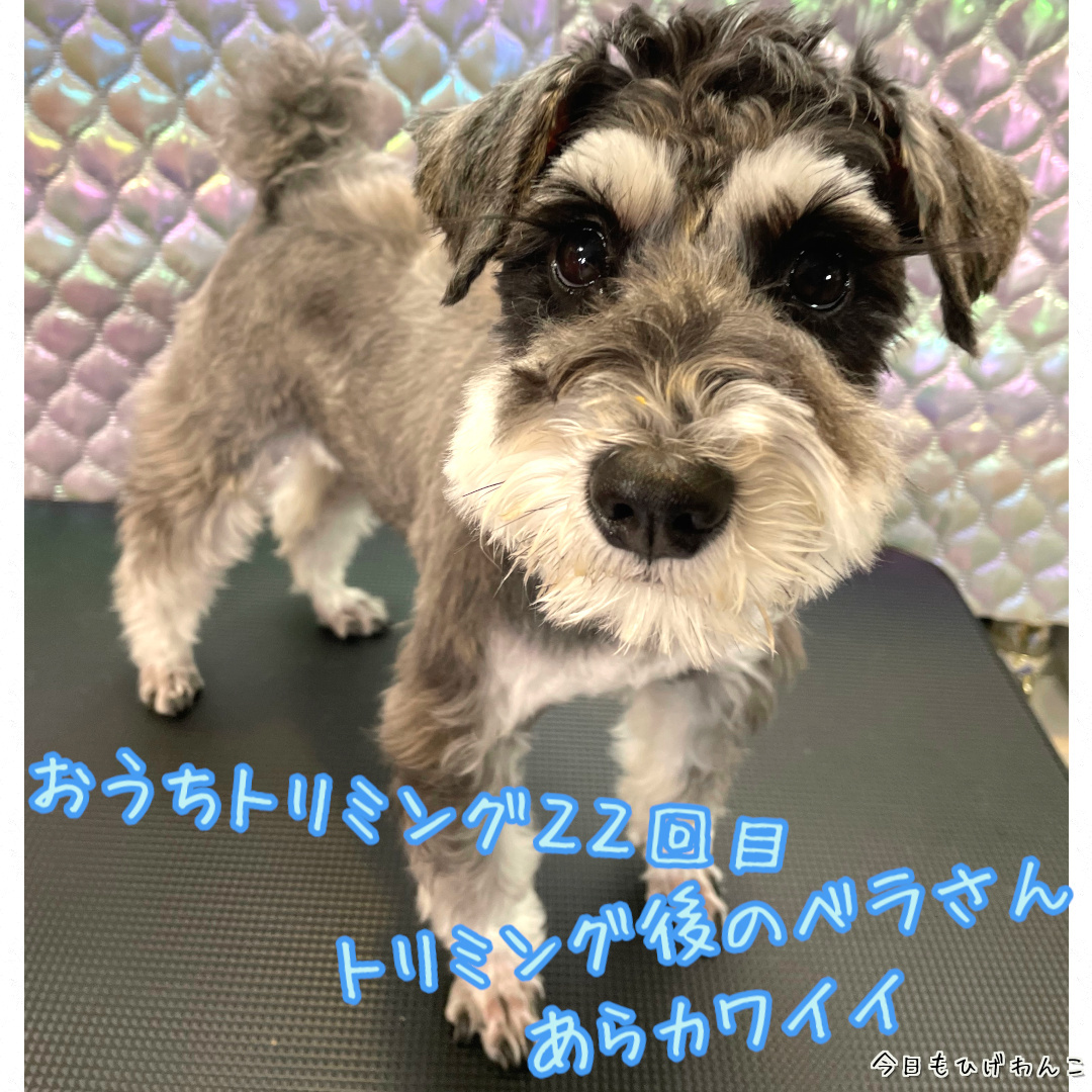 おうちちりミング２２回目！！