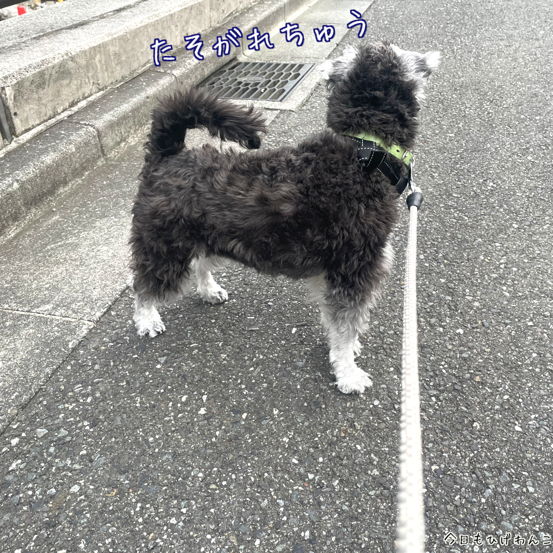 たそがれちゅう