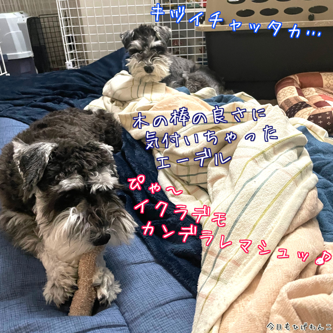 キヅイチャッタ・・・