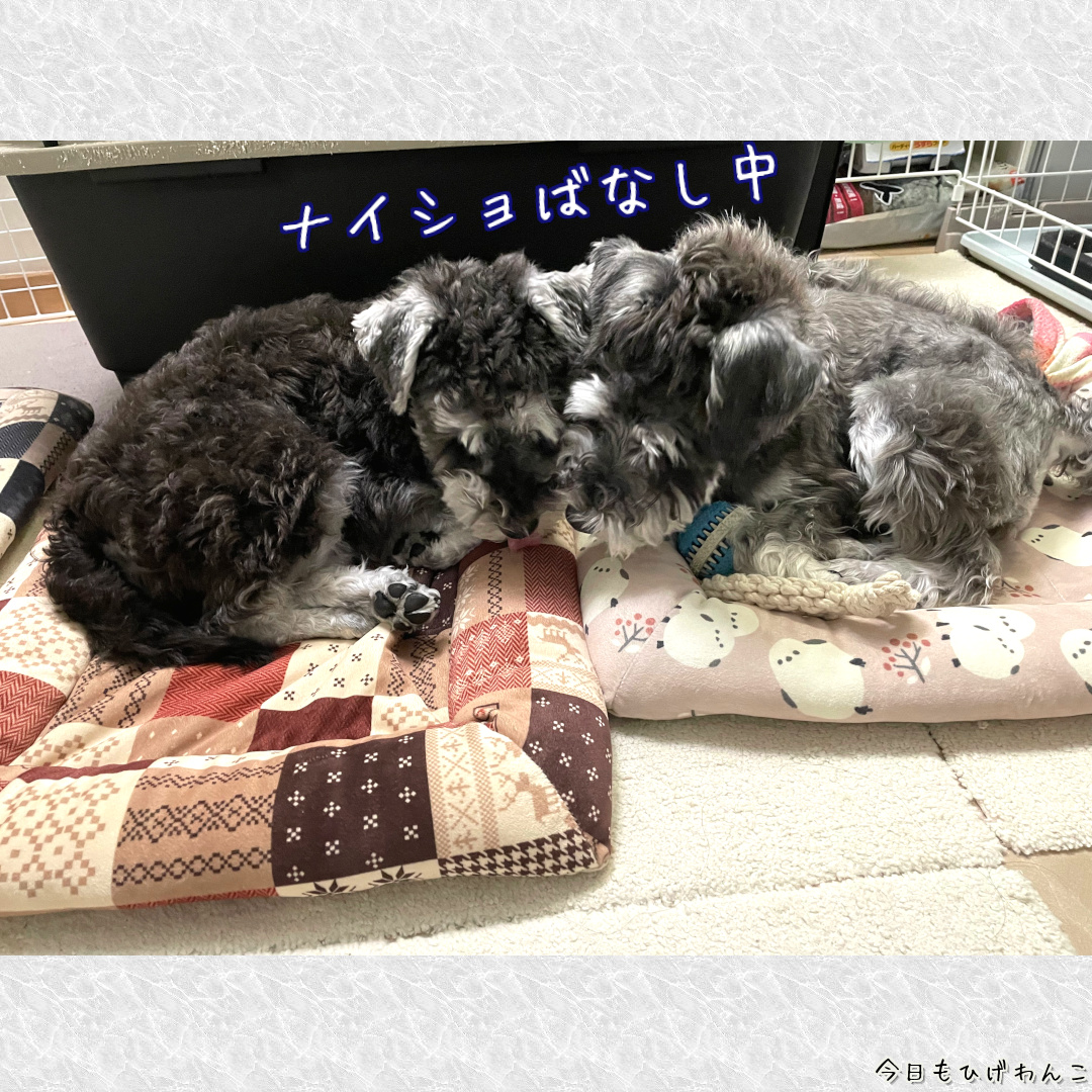 ナイショばなし中